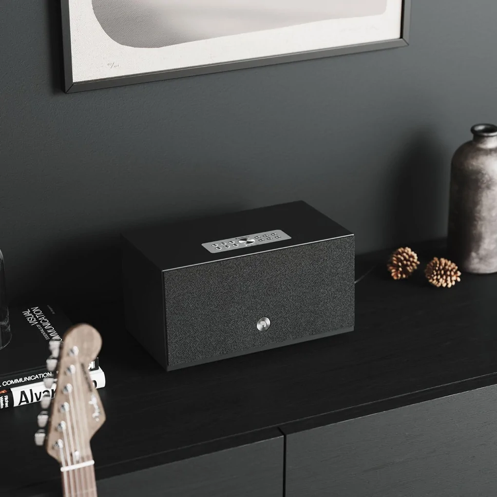 Loa Bluetooth Audio Pro C10 MKII 1