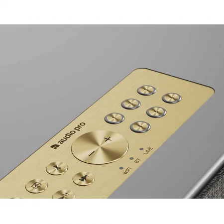 Loa Bluetooth Audio Pro C10 MKII 2