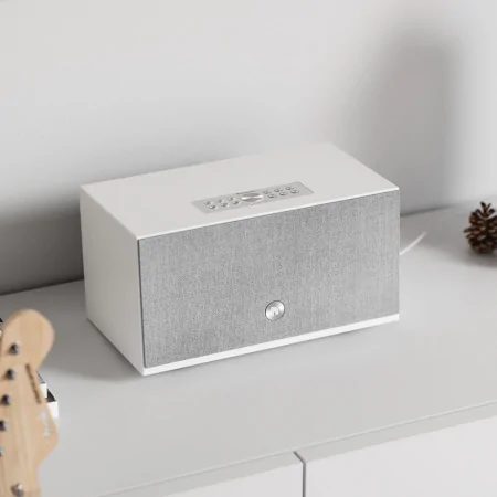 Loa Bluetooth Audio Pro C10 MKII 3