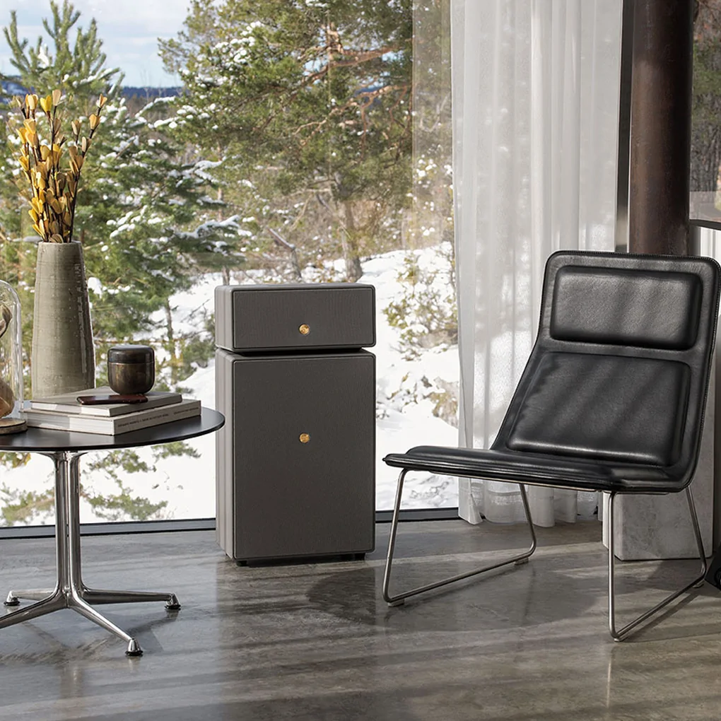 Loa Audio Pro Drumfire II 0