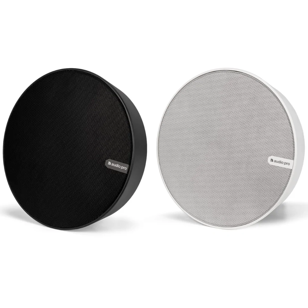 Loa Audio Pro SPW-5 1