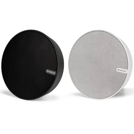 Loa Audio Pro SPW-5 1