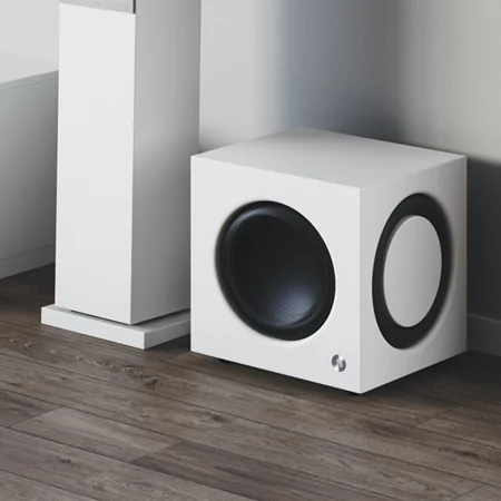 Loa Thùng Audio Pro SW-10 0