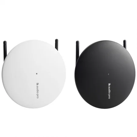 Loa Audio Pro TX-1 0