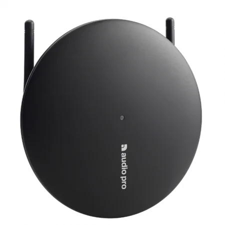 Loa Audio Pro TX-1 1