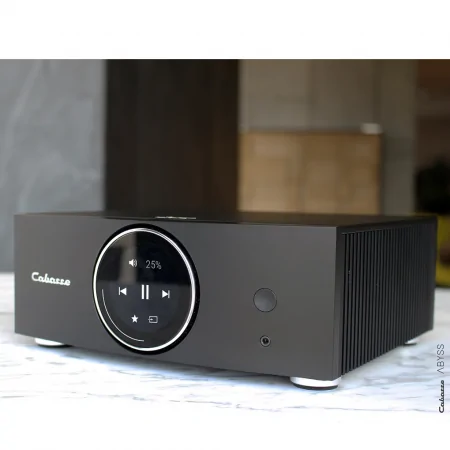 Amply Cabasse Abyss 3