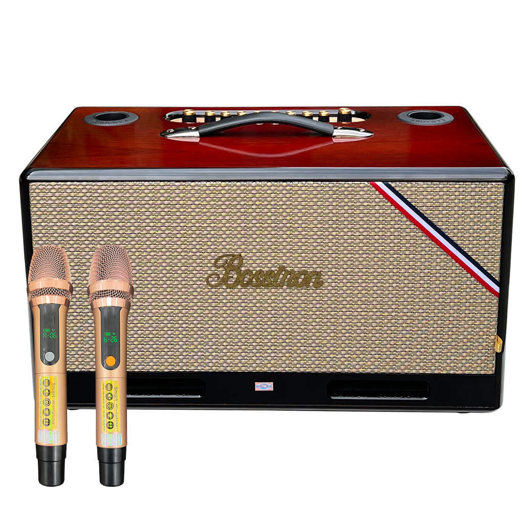 Loa Xách Tay N3379K