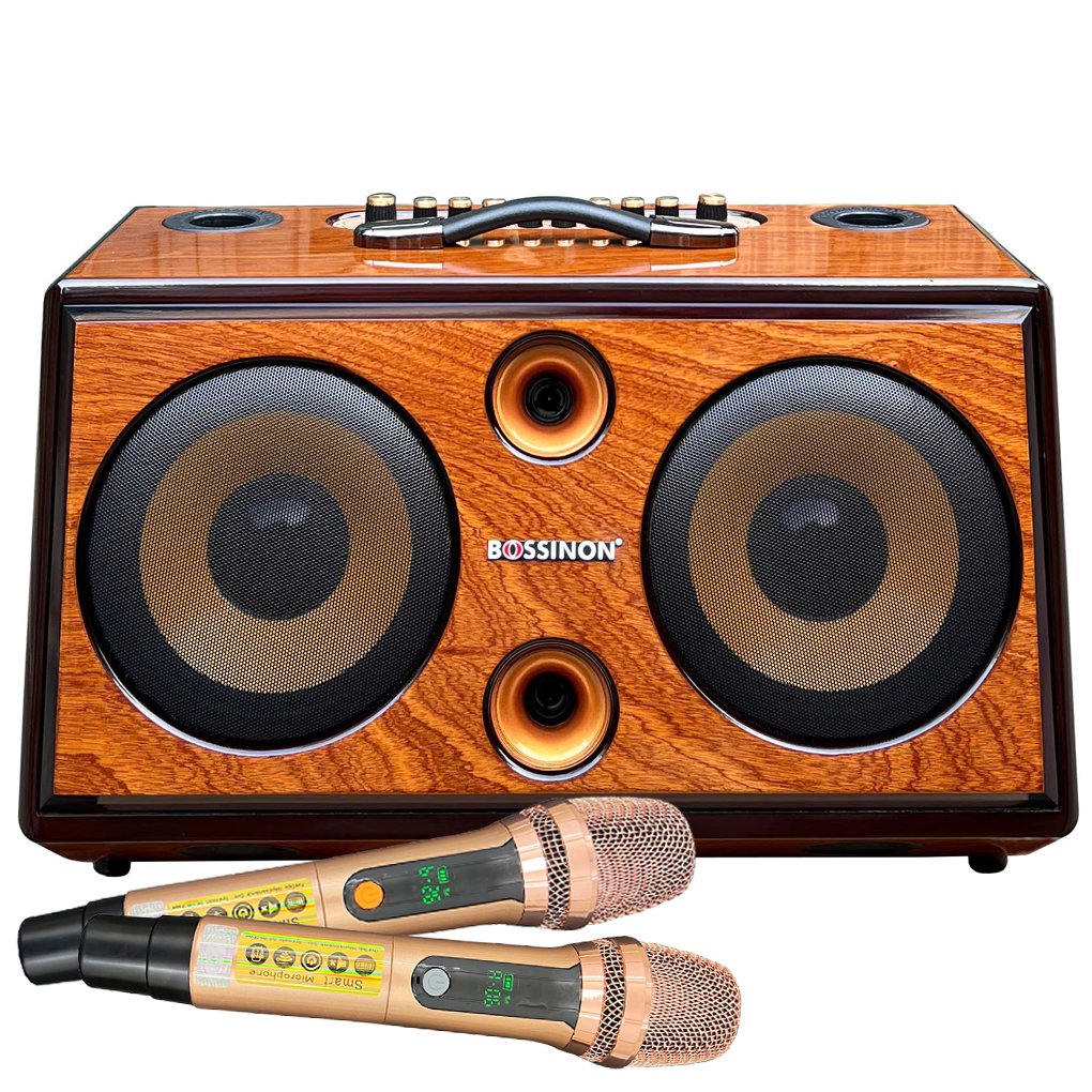 Loa Xách Tay N3383K