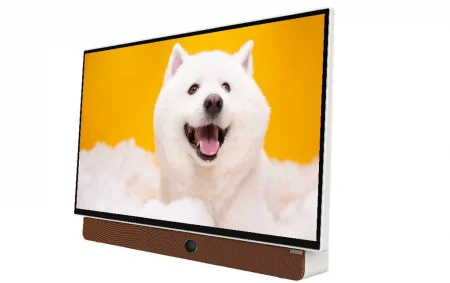 Google Tivi Xách Tay Di Động Full HD Coocaa 24 Inch 24LP6000G (Tay Cầm Da) 0