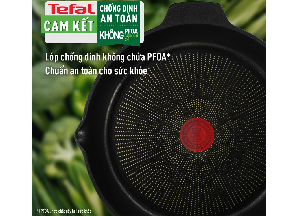 Chảo Đúc Cao Cấp Tefal Robusto 24cm E2490444 2