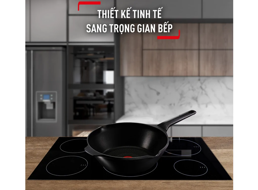 Chảo Đúc Cao Cấp Tefal Robusto 24cm E2490444 1