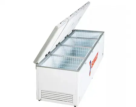 Tủ Đông Sanaky 2000 Lít VH-2399HY 0