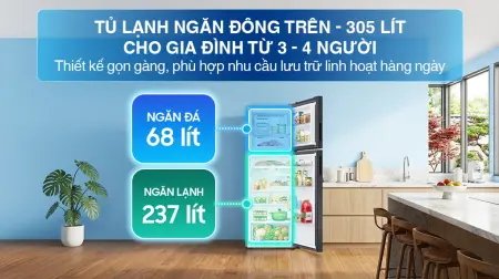 Tủ Lạnh Samsung Inverter 305 Lít RT31CG5424B1SV