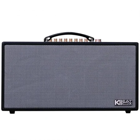 Loa Karaoke Xách Tay Acnos CS450SR 0