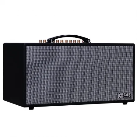 Loa Karaoke Xách Tay Acnos CS450SR 1