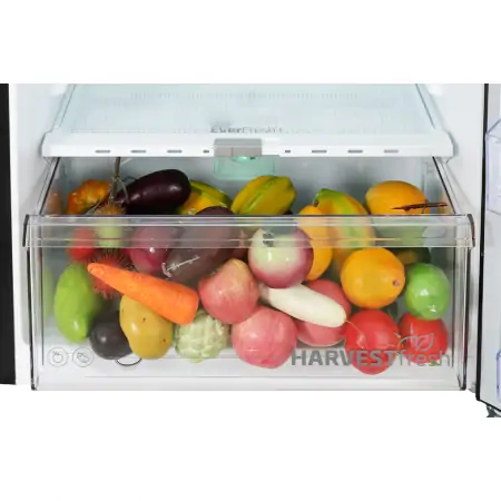 Tủ Lạnh Beko Inverter 375 Lít RDNT401E50VZDHFSU 4