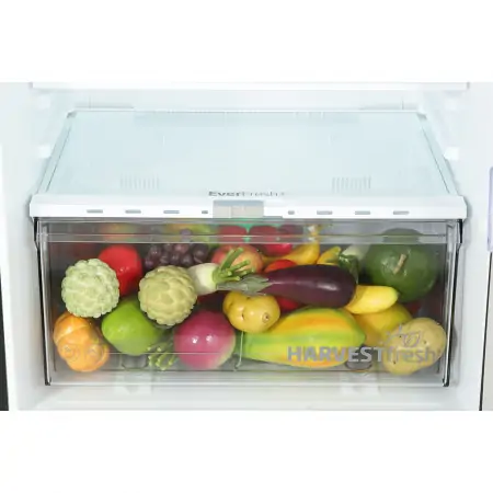 Tủ Lạnh Beko Inverter 340 Lít RDNT371E50VZDHFSU 5