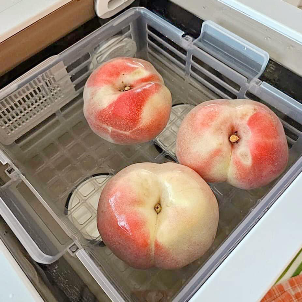 Máy Rửa Rau Quả - Giảm Thuốc Trừ Sâu Hurom UC-B01FWH Diệt Khuẩn, Virus 99,9% 4