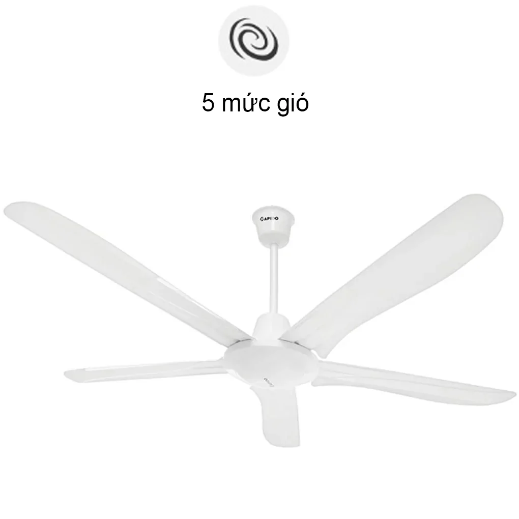 Quạt Trần RCF-5W