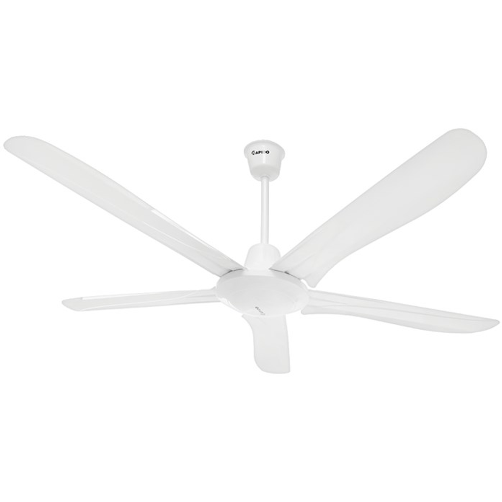 Quạt Trần Rapido RCF-5W 0