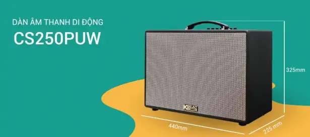 CS250PUW