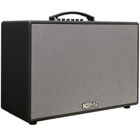 Loa Karaoke Xách Tay ACNOS CS250PUW 300W 1