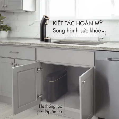 Máy Lọc Nước Nóng Lạnh Wells The One Dark Brown - Xuất Xứ Hàn Quốc 6