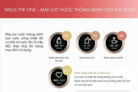 Máy Lọc Nước Nóng Lạnh Wells The One Dark Brown - Xuất Xứ Hàn Quốc 8