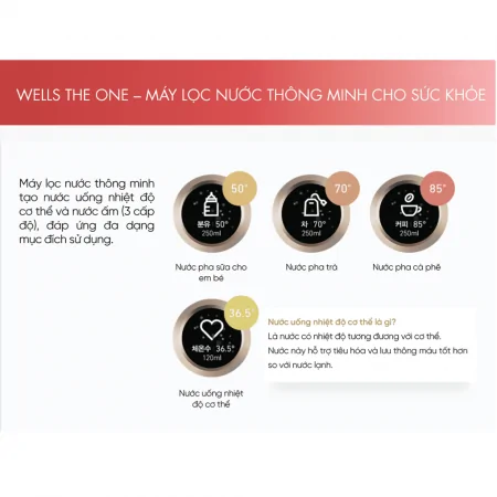 Máy Lọc Nước Nóng Lạnh Wells The One White - Xuất Xứ Hàn Quốc 7