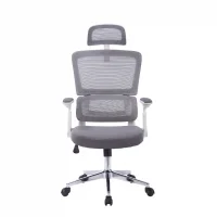 Ghế văn phòng ECOOC-2208W xám