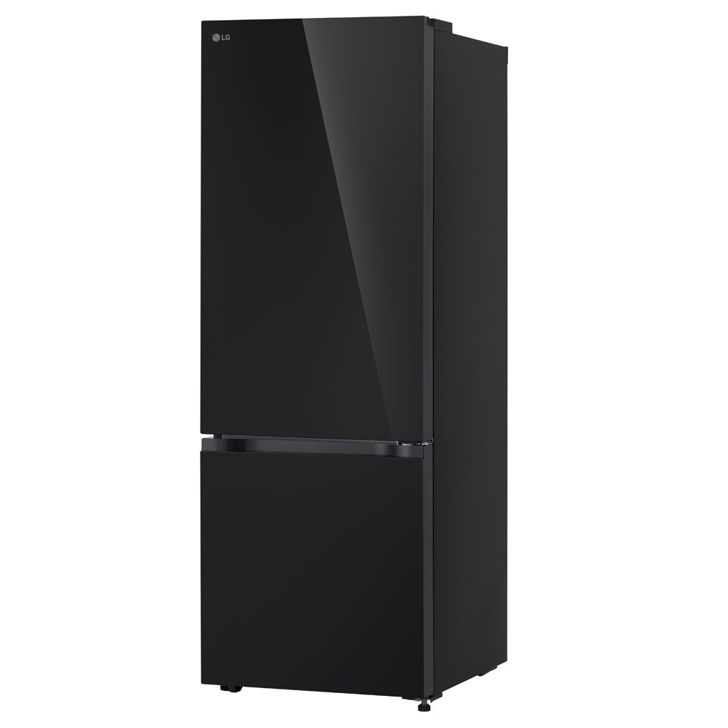 Tủ Lạnh LG Inverter 335 Lít LBB33BLGA 1