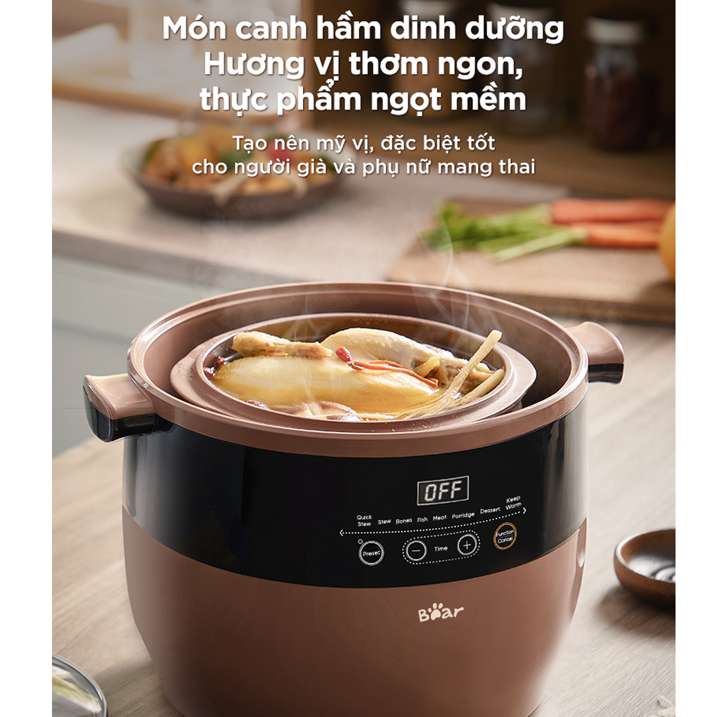 Nồi Nấu Chậm Bear DDZ-B45Z1 10