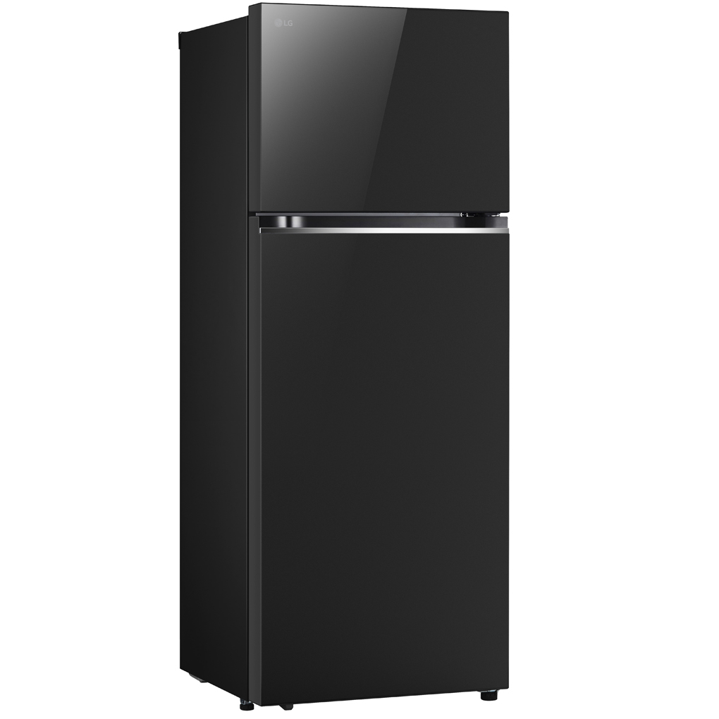 Tủ Lạnh LG Inverter 461 Lít LTB46BLG 6