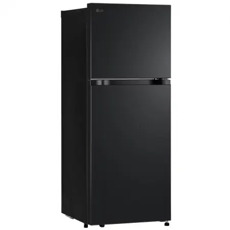 Tủ Lạnh LG 217 Lít LTB21BLMD 0