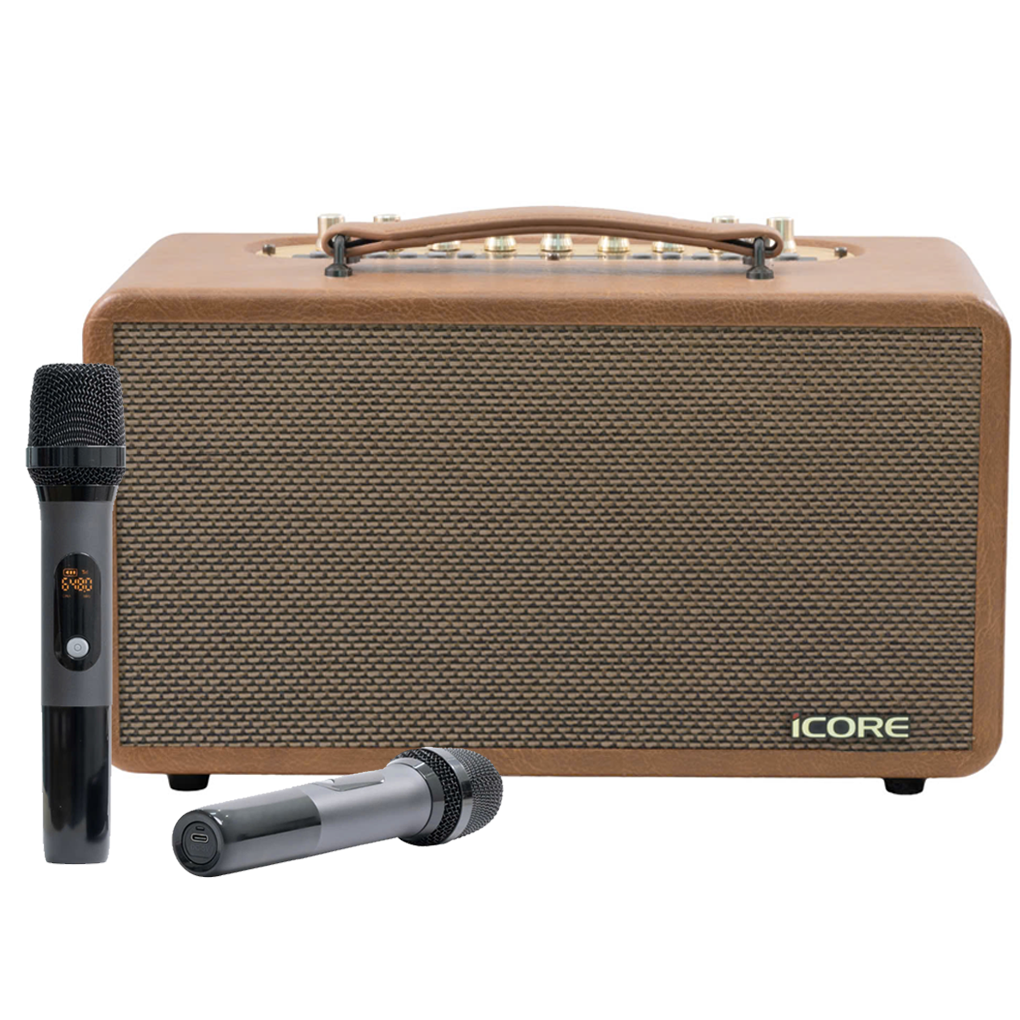 Bộ Loa Karaoke Xách Tay P8 Kèm 02 Micro