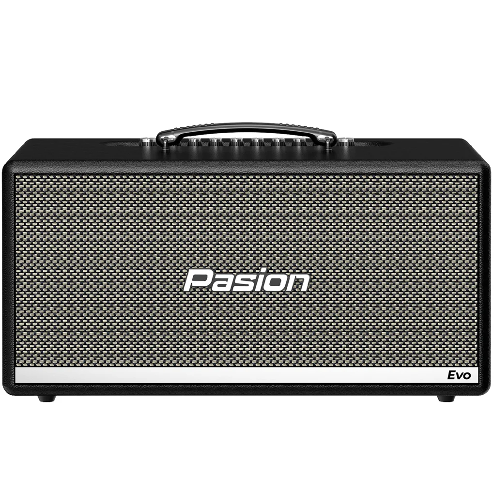 Loa Karaoke Di Động Xách Tay Paramax PASION Evo (Black Leather) 0