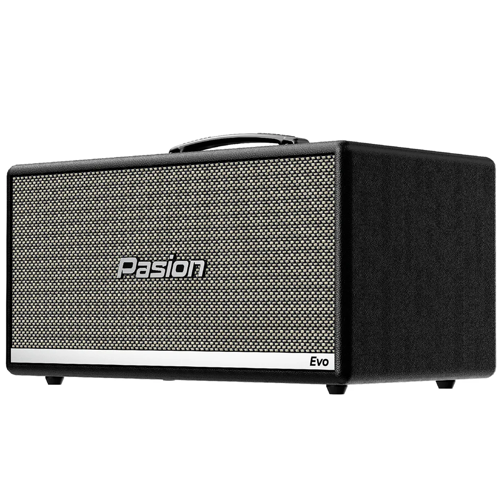 Loa Karaoke Di Động Xách Tay Paramax PASION Evo (Black Leather) 1