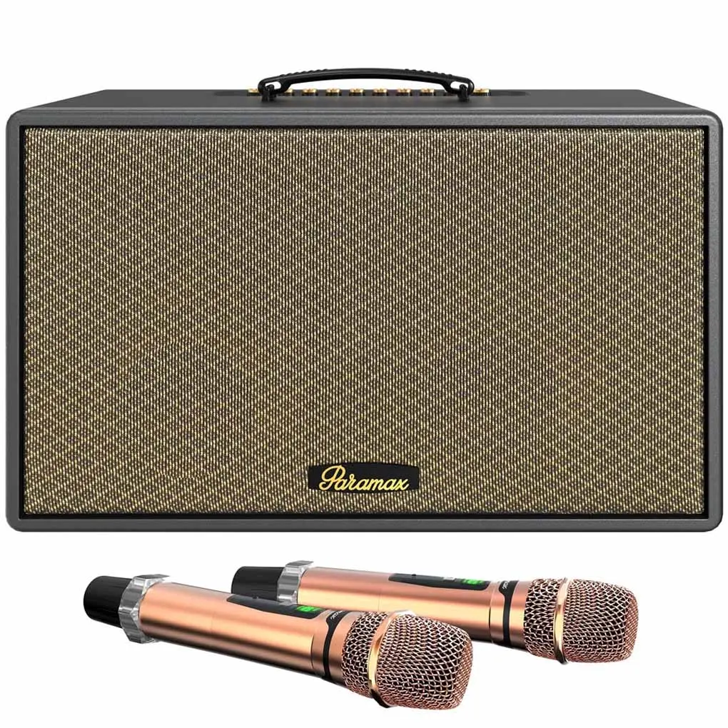 Loa Di Động Xách Tay Saga (Black Leather)