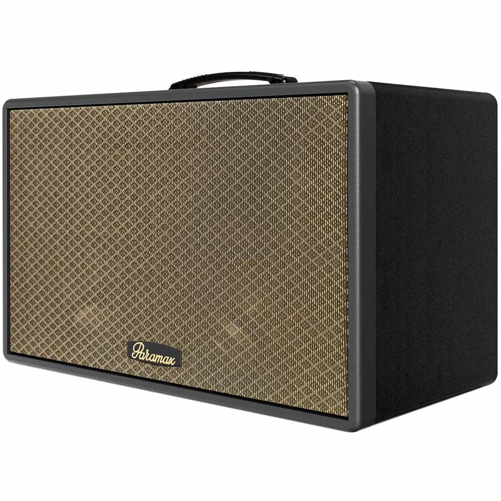 Loa Di Động Xách Tay Paramax Saga (Black Leather) 0