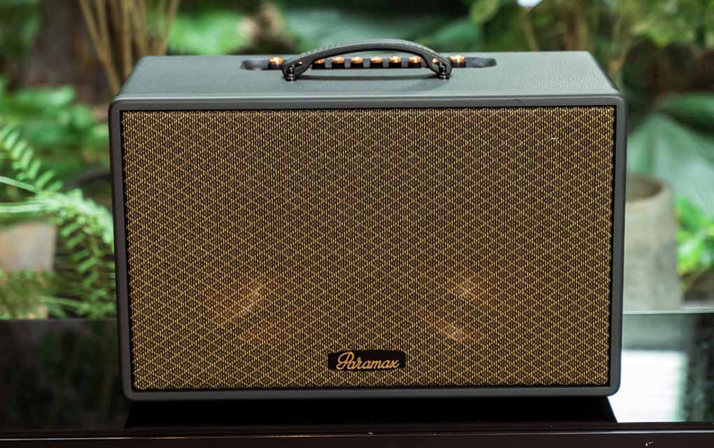 Loa Di Động Xách Tay Paramax Saga (Black Leather) 3