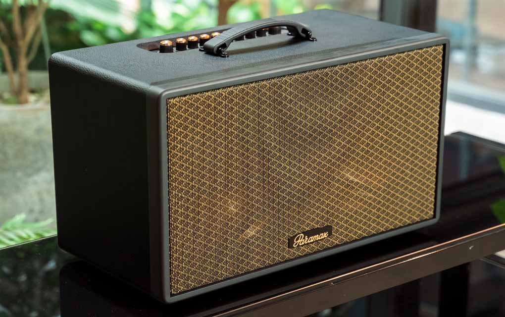 Loa Di Động Xách Tay Paramax Saga (Black Leather) 4