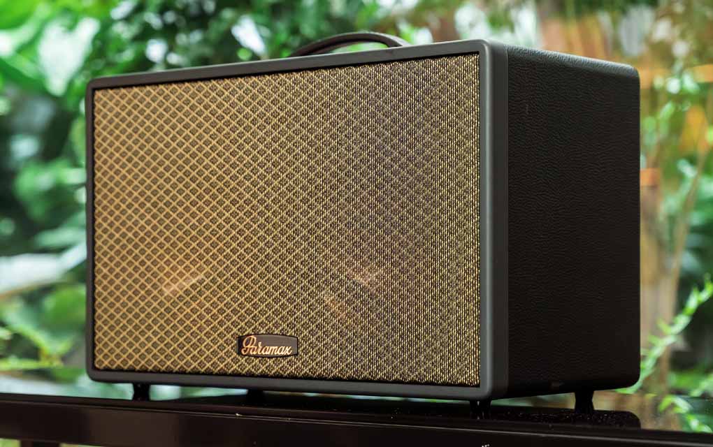 Loa Di Động Xách Tay Paramax Saga (Black Leather) 5