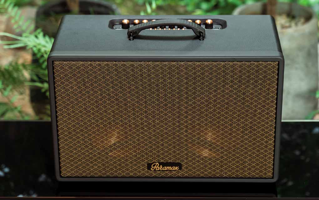 Loa Di Động Xách Tay Paramax Saga (Black Leather) 6