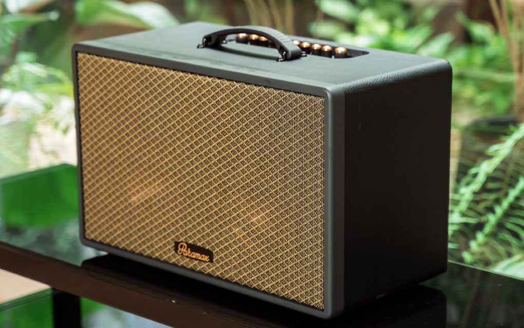 Loa Di Động Xách Tay Paramax Saga (Black Leather) 7