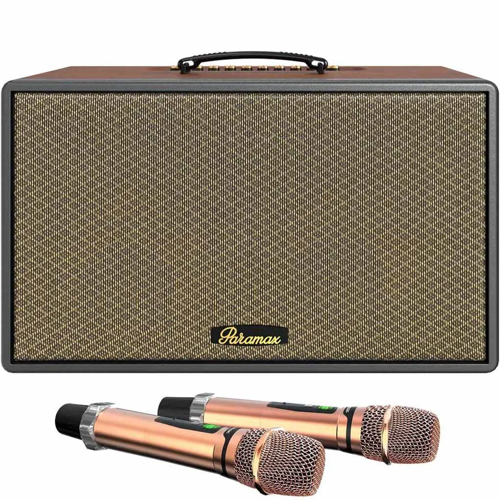 Loa Di Động Xách Tay Paramax Saga (Brown Leather)