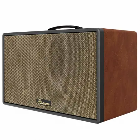 Loa Di Động Xách Tay Paramax Saga (Brown Leather) 0