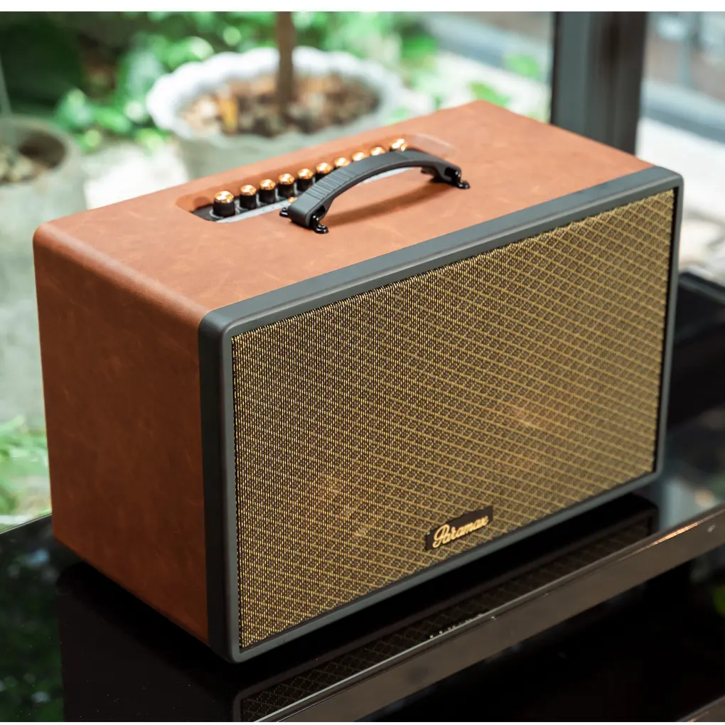 Loa Di Động Xách Tay Paramax Saga (Brown Leather) 3