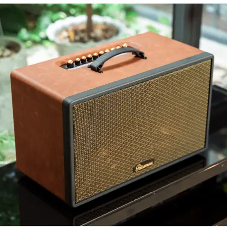 Loa Di Động Xách Tay Paramax Saga (Brown Leather) 3