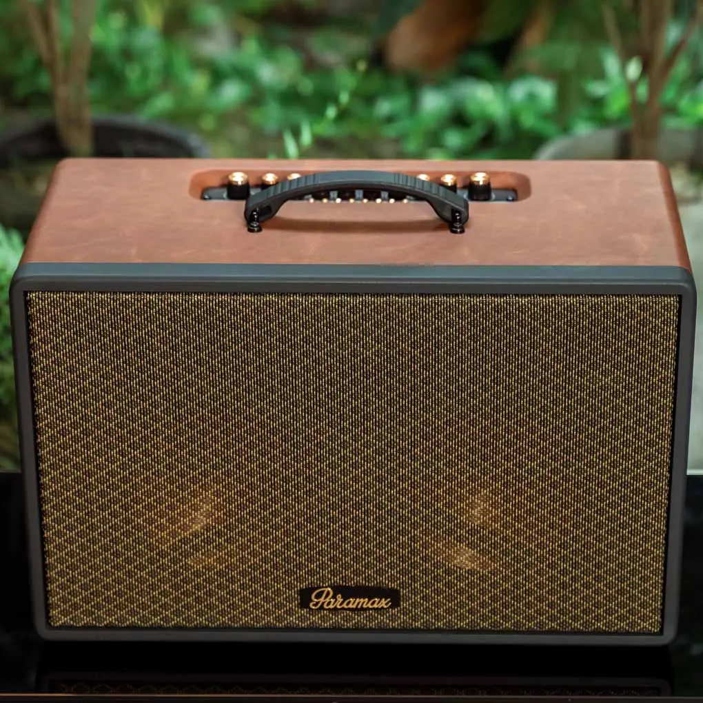 Loa Di Động Xách Tay Paramax Saga (Brown Leather) 4