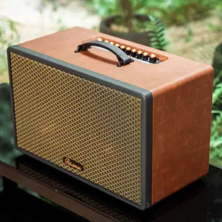 Loa Di Động Xách Tay Paramax Saga (Brown Leather) 6